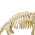 Skin n Bones Brachiosaurus