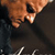 Billy Graham God's Ambassador DVD - Billy Graham