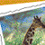Animals with Backbones - ScienceWorks for Kids