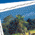 Habitats - ScienceWorks for Kids