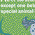 Thinking Skills Grades 3-4, Book + CD-ROM