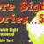 More Sight Word Stories: 57 Reproducible Books for Beginning Readers