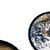 Bulletin Board Science Set: Our Solar System