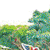 Bulletin Board Science Set: Lets Create a Rain Forest