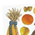 Bulletin Board Set: Thanksgiving