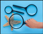 Magnifying Glass