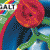 Galt Marble Racer - 60