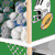 FREE SHIPPING - All 4 Sports - Storage Cube