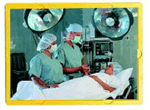 FREE SHIPPING - Real Puzzles - Real Careers
