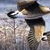 A Hunters Call: Capture the Adventure of a More Meaningful Life