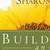 Building an Effective Womens Ministry