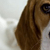 Four Paws from Heaven Gift Edition