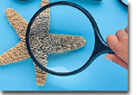 Magnifying Glass