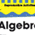 The 100+ Series: Algebra, Grades 5 - 8