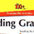 The 100+ Series: Building Grammar, Grades 1 - 2