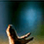 Lifeguide Worship His Love End