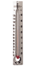 Metal Back Thermometers