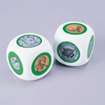 Coin Cube Set: Heads and Tails