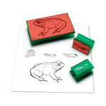 Frog Life Cycle Stamps