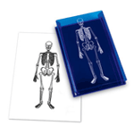 Human Skeleton Stamp