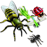 Inflatable Insects