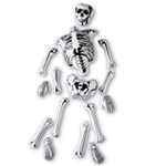 Inflatable Parts of a Skeleton