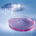 Petri Dishes