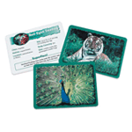 Animal Classifying Cards: Tropical Forests