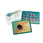 Animal Classifying Cards: Grasslands