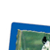 Animals In the Wild Classifying Cards