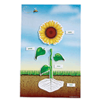 Magnetic Science Tiles: Flower