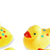 Smart Splash Number Fun Ducks