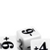 Positive and Negative Number Dice