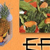 Meals in Minutes: Easy Stir-Fry DVD