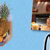 Meals in Minutes Meal Planning DVD