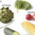 Basic Vegetables Poster