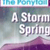 A Stormy Spring with Free Scrunchie