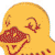NameTrain Duck
