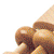 Natural Oval Bead Rattle
