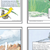 Cycles In Nature Poster Set