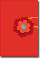 NCV Pocket Bible, NCV