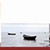 Max Lucado Essential Bible Study Library