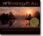 The Wonder of It All