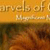 Marvels of Creation: Mammals