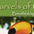 Marvels of Creation: Birds