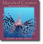 Marvels of Creation: Sea Creatures