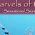 Marvels of Creation: Sea Creatures