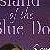Island of the Blue Dolphins - Study Guide