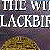 The Witch of Blackbird Pond - Study Guide