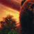 The Sign of the Beaver